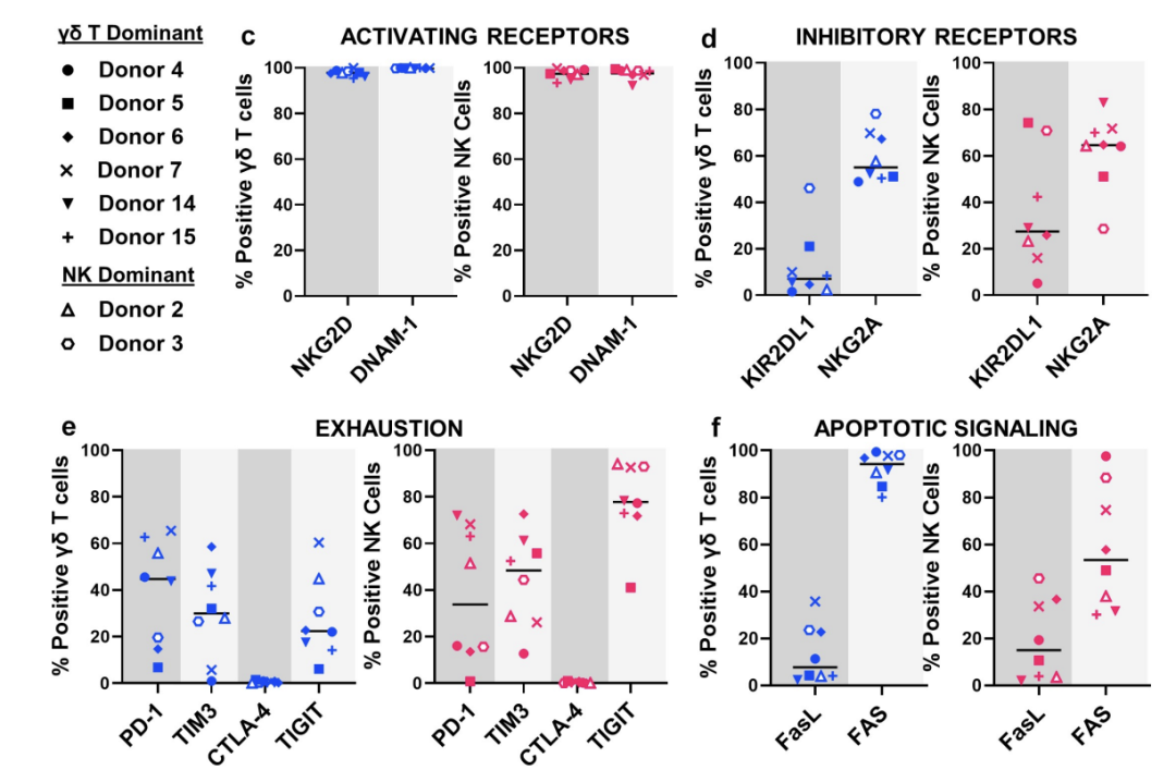 异体γδ T细胞可治愈神经母细胞瘤？深度剖析体外扩增细胞，优化新型T细胞治疗方案