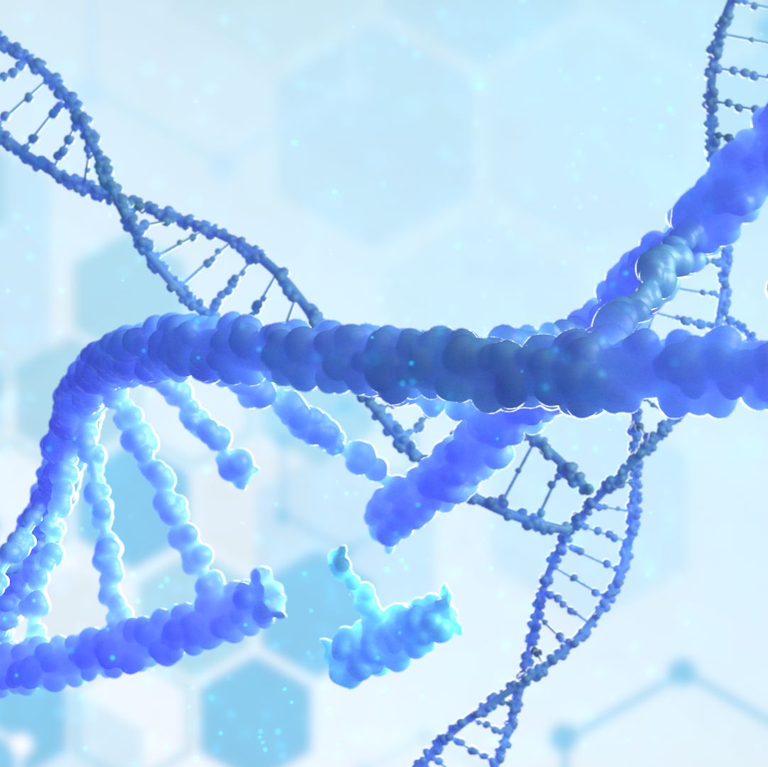 E00901 Ribonuclease HII-1 （核糖核酸酶 HII）