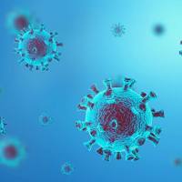 和元生物/AAV载体/腺相关病毒包装