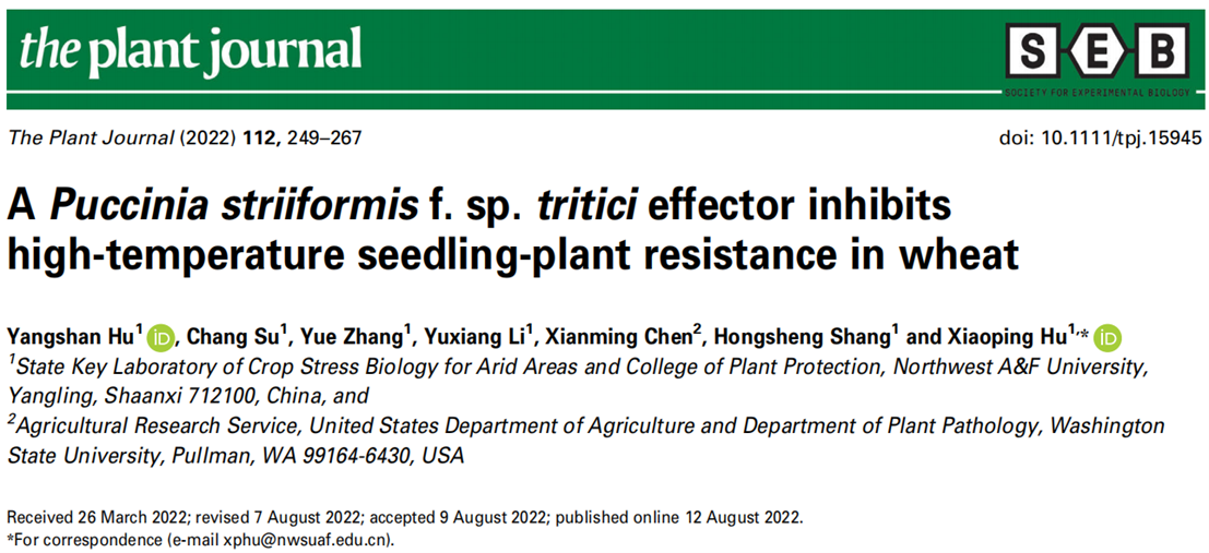 【文献速递】作物病虫害监测与治理团队在小麦高温抗条锈性方面取得新进展