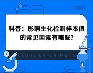 丁香实验推荐阅读