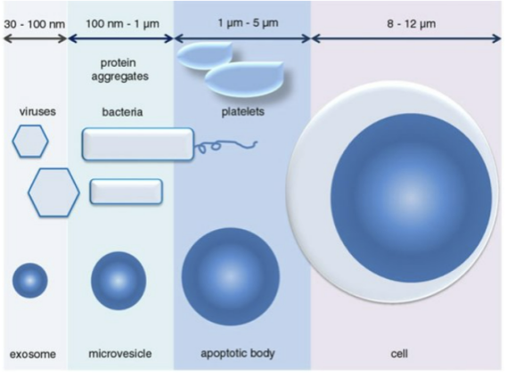 细胞外囊泡（EV）研究火热，我们应该怎样测好小颗粒样本？