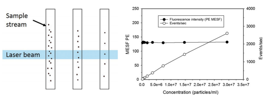 细胞外囊泡（EV）研究火热，我们应该怎样测好小颗粒样本？