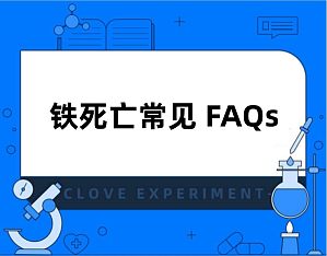 丁香实验推荐阅读