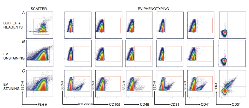 细胞外囊泡（EV）研究火热，我们应该怎样测好小颗粒样本？