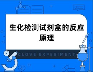 丁香实验推荐阅读
