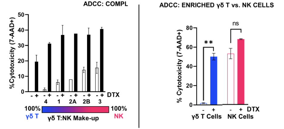 异体γδ T细胞可治愈神经母细胞瘤？深度剖析体外扩增细胞，优化新型T细胞治疗方案