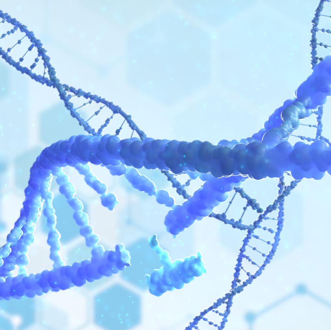 E00906 Ribonuclease HII-6 （核糖核酸酶 HII）