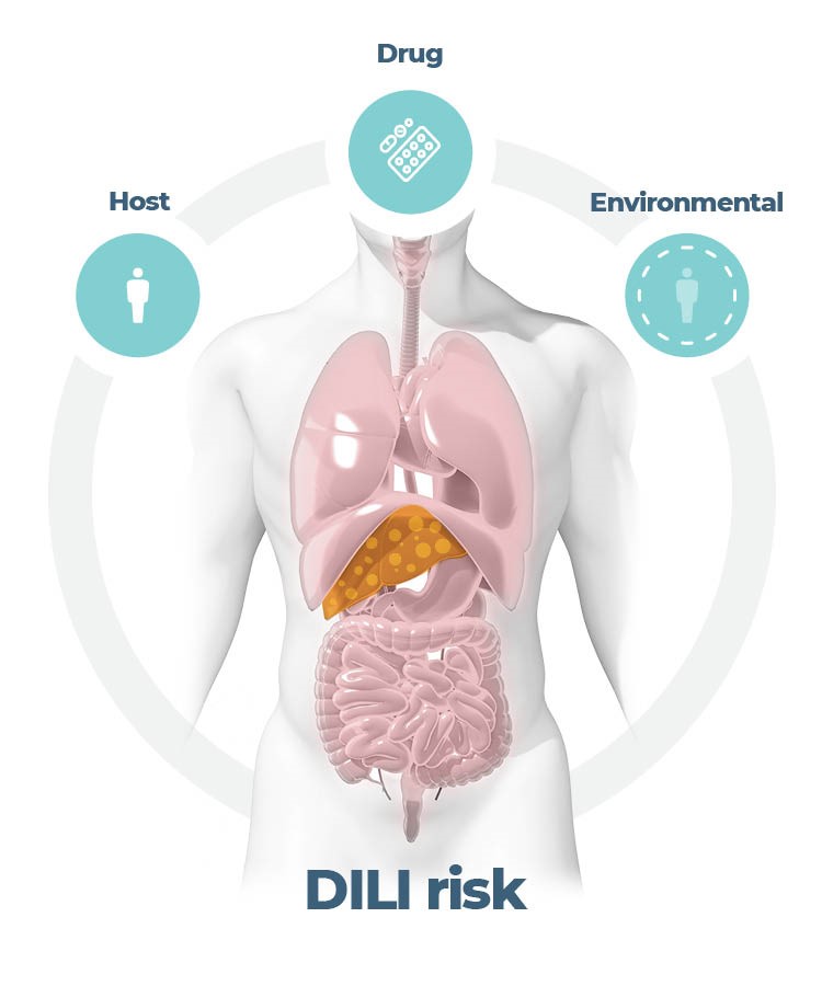 通过器官芯片的预测能力降低药物性肝损伤的风险
