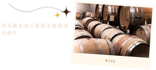 初入手性药物宇宙，认识对映体——酒石酸