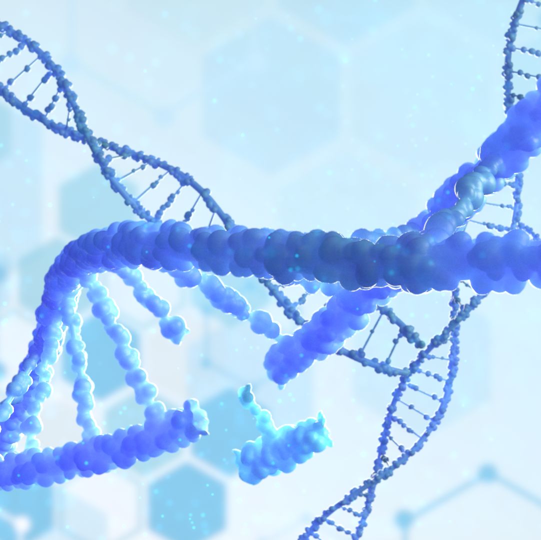 E01001 EM Nuclease（全能核酸酶），同BenzoNuclease