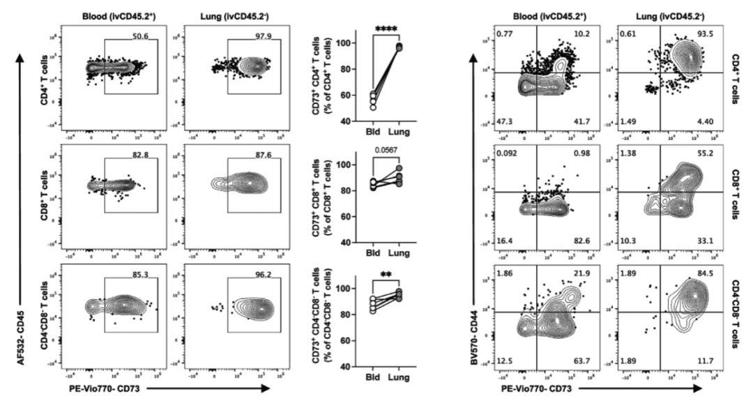 Big Panel Theory系列之-光谱流式22色方案揭示小鼠肺部组织驻留淋巴细胞多样性