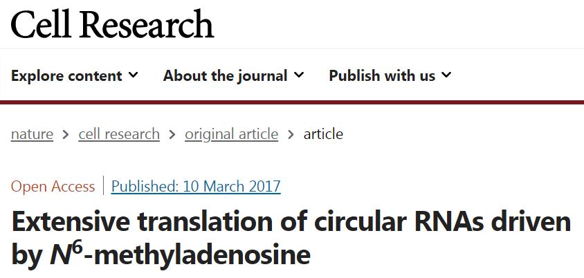 IF=46.297  Polysome profiling技术助力揭示circRNA编码蛋白的重要机制
