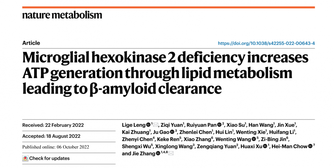 Nature Metabolism：AD治疗新策略！张杰教授团队揭示小胶质细胞能量代谢调控新机制