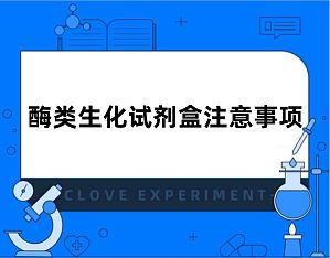 丁香实验推荐阅读