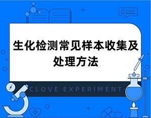 丁香实验推荐阅读