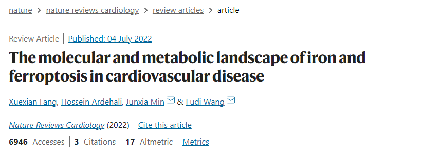 心血管疾病中铁和铁死亡的分子和代谢情况