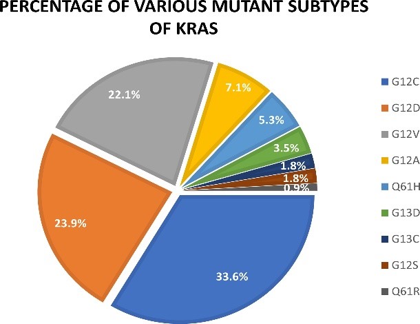 多种KRAS突变蛋白助力您探索KRAS的内部世界