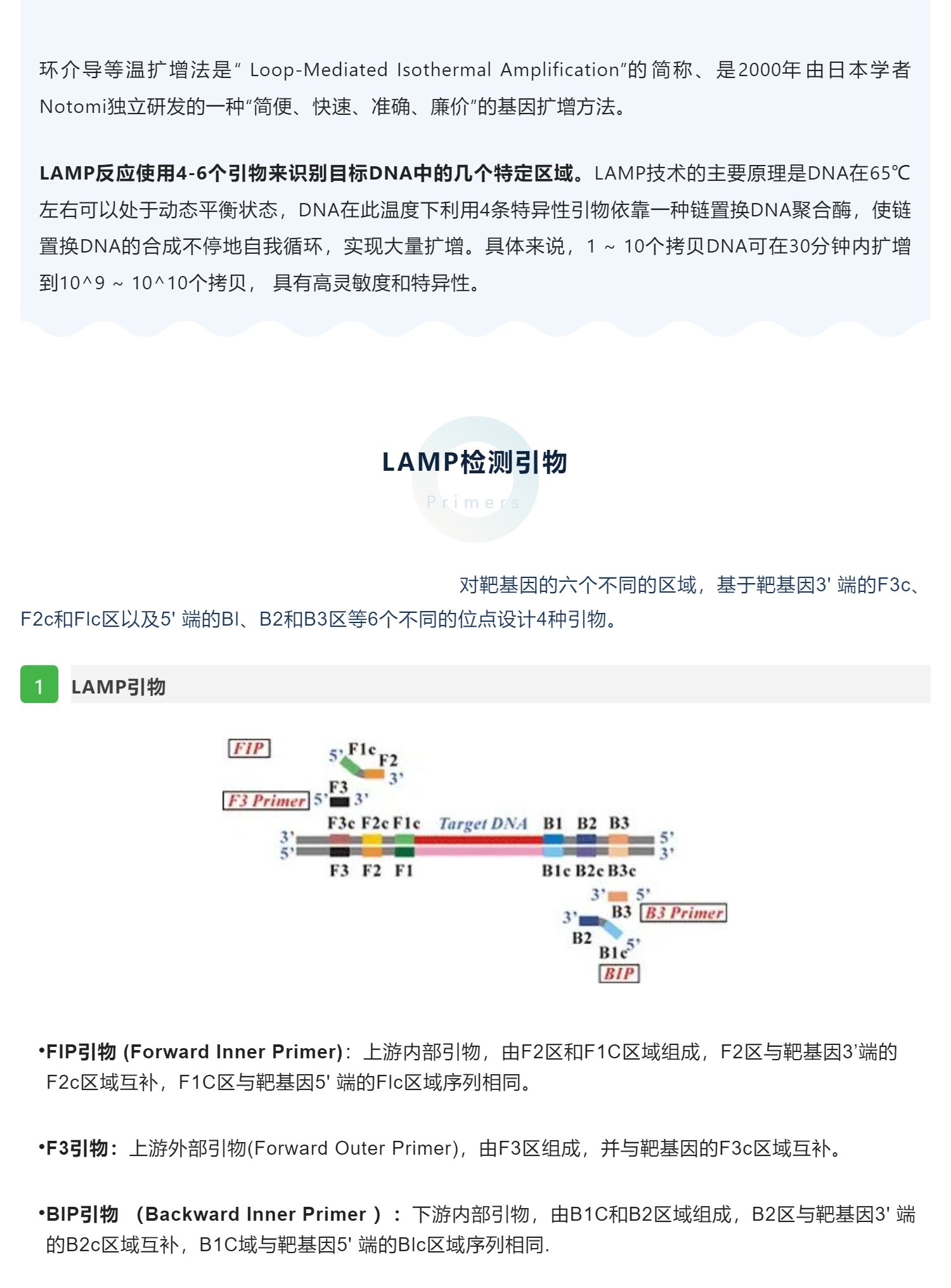 【干货】如何设计LAMP检测引物？
