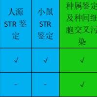 STR鉴定仪器+软件+试剂+技术转移
