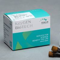 Annexin V-PE/7-AAD双染细胞凋亡检测试剂盒