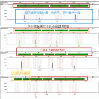 小鼠细胞STR鉴定试剂盒