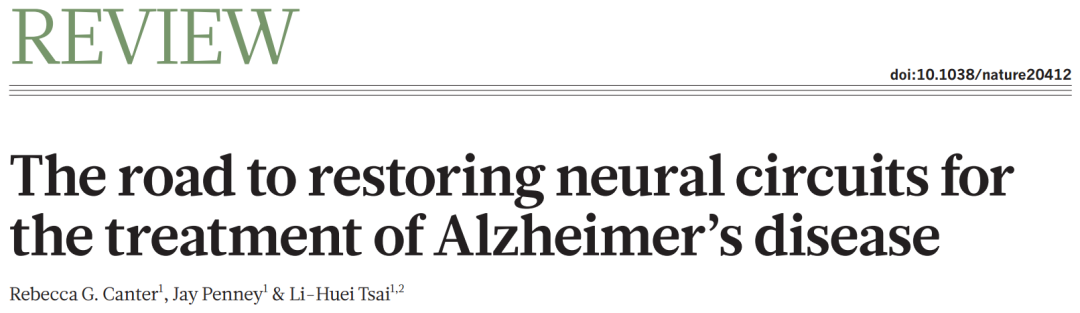 《文献解读》恢复神经环路连接治疗阿尔兹海默症