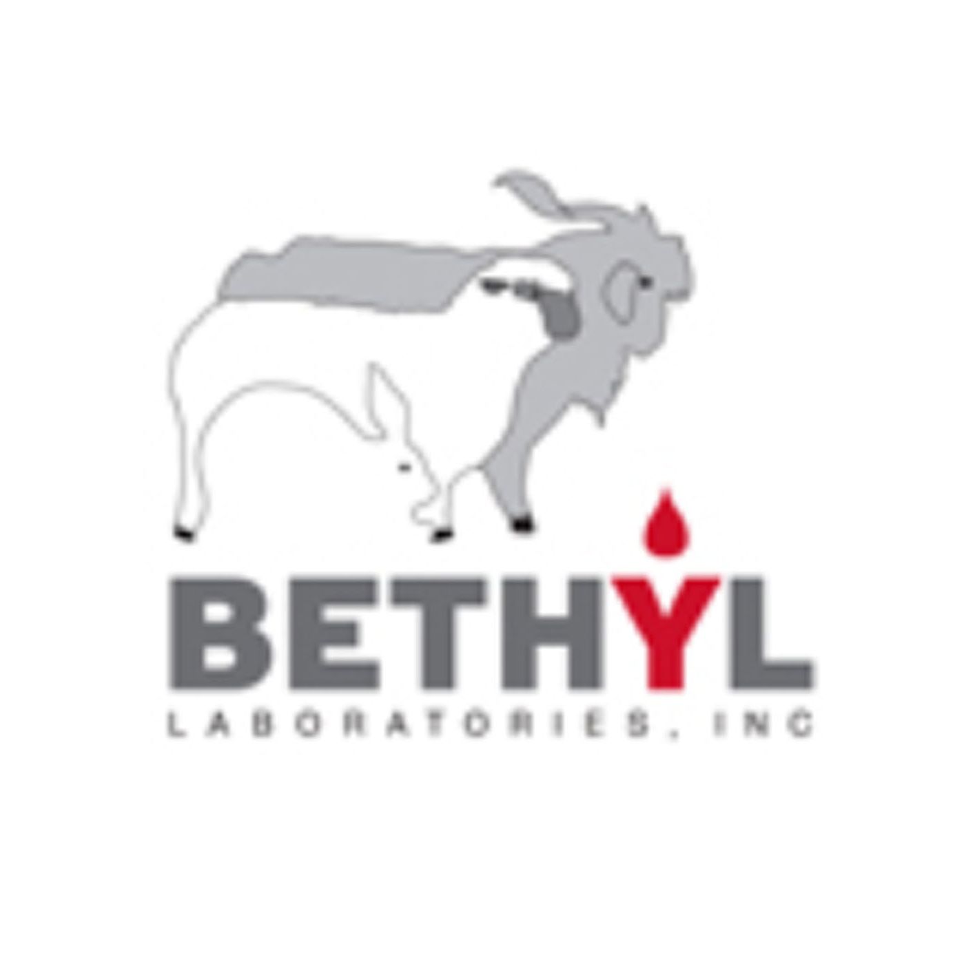 Bethyl兔多克隆抗体、蛋白质、次级抗体、免疫球蛋白