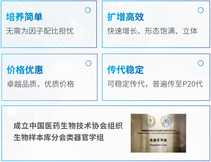 类器官培养鉴定