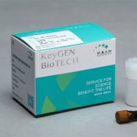 Caspase 3分光光度法检测试剂盒