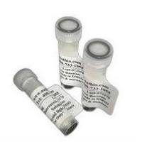 MS培养基含维生素