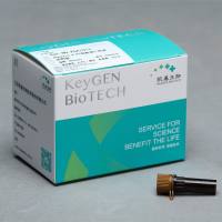 Annexin V-PE细胞凋亡检测试剂盒