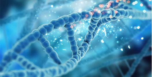 引爆2022科学仪器市场的火爆产品是什么？