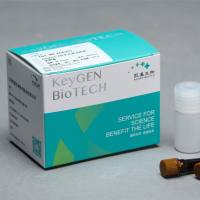 Caspase 6分光光度法检测试剂盒