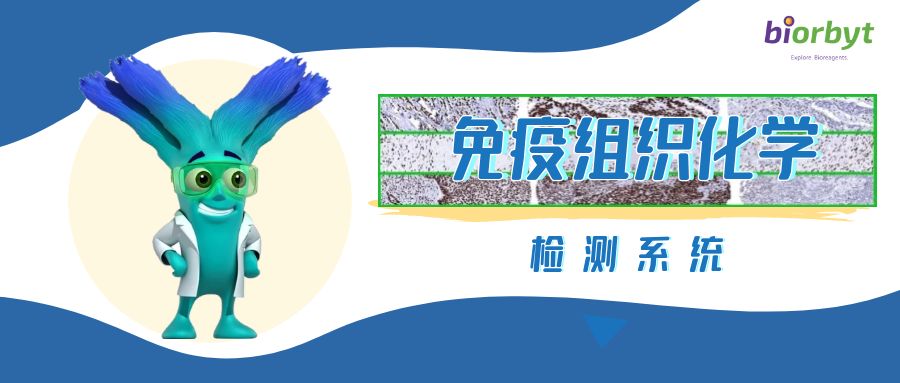 【Biorbyt实验】免疫组织化学-检测系统​