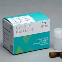 Caspase 8荧光法检测试剂盒(AFC)