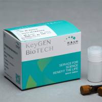 Caspase 6荧光法检测试剂盒（AFC）