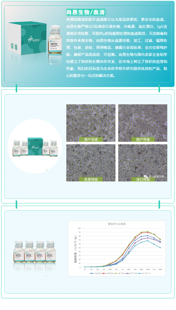 牛血清成分及其作用大揭秘