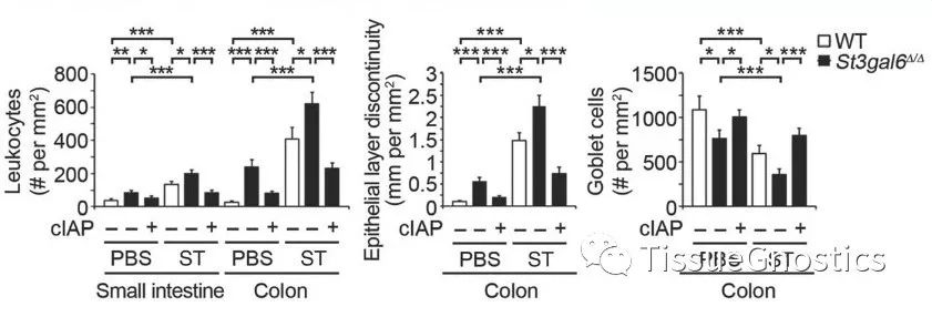 Science: 周期性的低等级细菌感染很有可能是慢性炎症疾病的诱因！