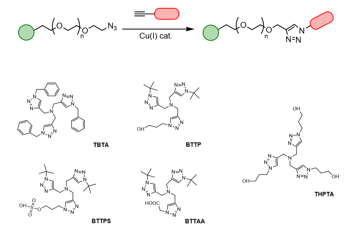 PEGN3与炔基的生物正交和点击化学_公司新闻_丁香通