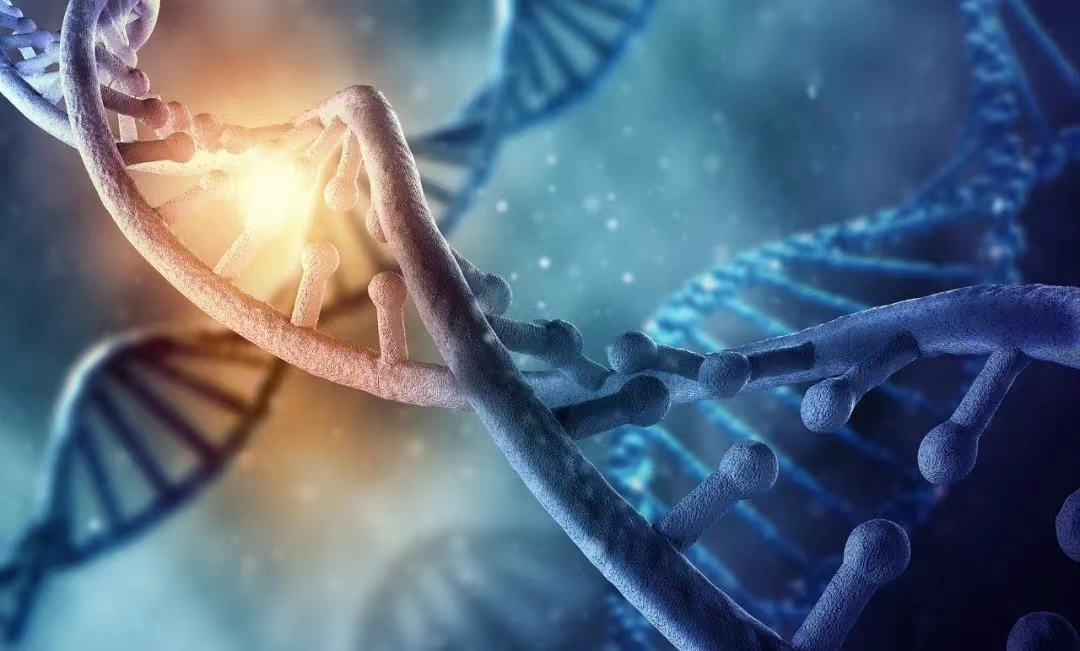 酶解or超声？看小美非接触超声波DNA打断仪如何大显身手