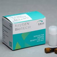 Caspase 2荧光法检测试剂盒(AFC)