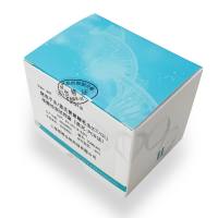 牛疱疹病毒2型PCR试剂盒