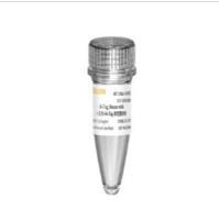 小鼠抗HA-Tag单克隆抗体(HA-Tag,Mouse mAb)