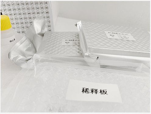 人乳头瘤病毒(HPV)酶联免疫(Elisa)试剂盒