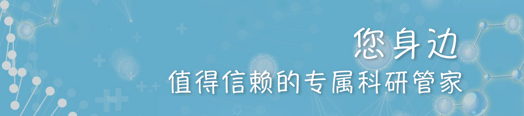 T Clin Invest. (Q1，19.546) | RBMS1通过调控SLC7A11翻译从而调节肺癌铁死亡