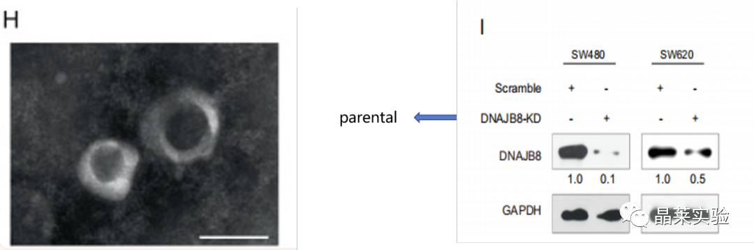 技术资料图片22