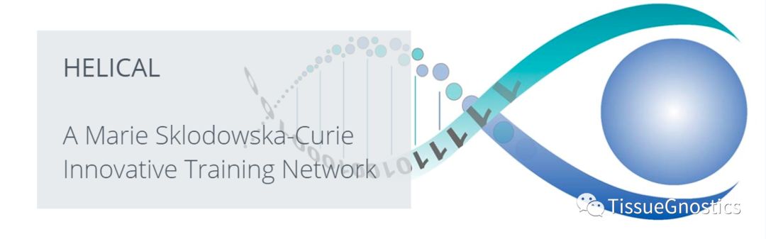 TissueFAXS Cytometry技术在心血管研究中的应用