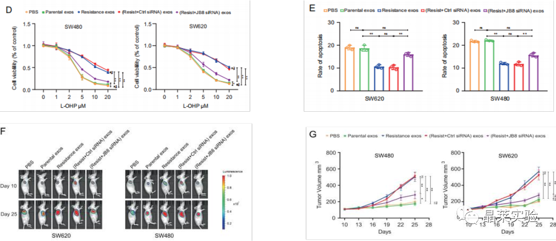 技术资料图片24
