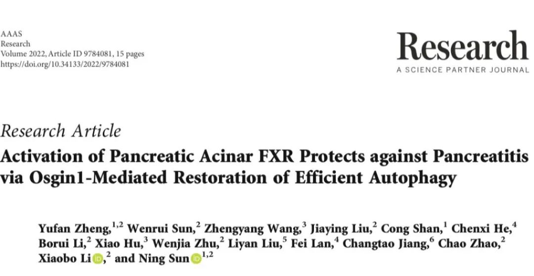 IF=11.036【客户文章-AAV Pan血清型】江南大学/复旦大学孙宁团队揭示胰腺腺泡中FXR激活对胰腺炎的保护作用